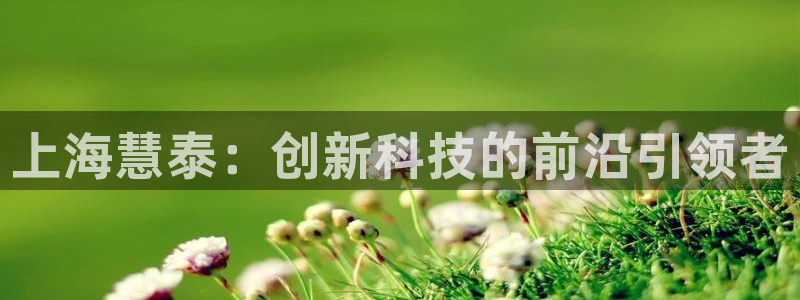欧星娱乐网络娱乐：上海慧泰：创新科技的前沿引领者