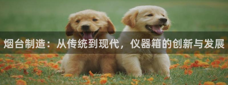 星欧娱乐官网登录：烟台制造：从传统到现代，仪器箱的创新与发展