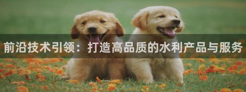 星欧平台娱乐注册的方式：前沿技术引领：打造高品质的水利产品与