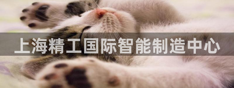 星欧娱乐扣款流程详解：上海精工国际智能制造中心