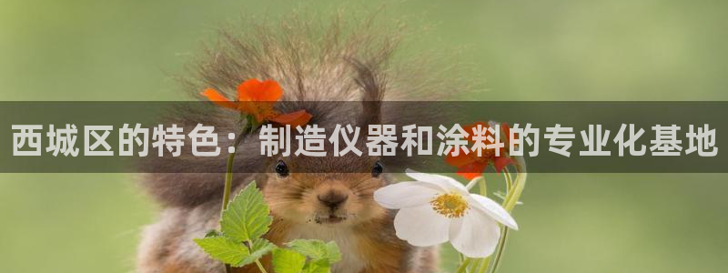 菲律宾亚星国际娱乐欧博：西城区的特色：制造仪器和涂料的专业化