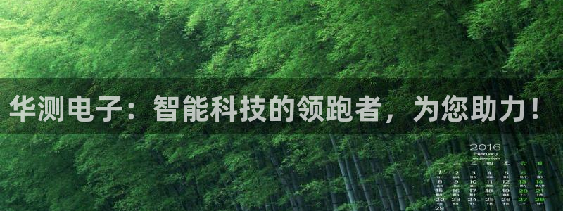 娱乐星天地欧豪：华测电子：智能科技的领跑者，为您助力！