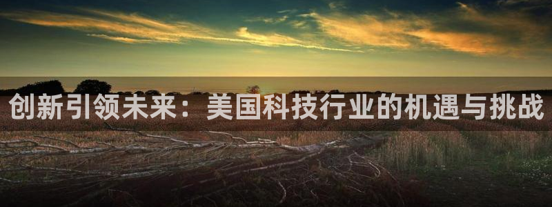艾欧尼亚三星娱乐赛：创新引领未来：美国科技行业的机遇与挑战