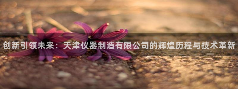 金欧岗星熠娱乐：创新引领未来：天津仪器制造有限公司的辉煌历程