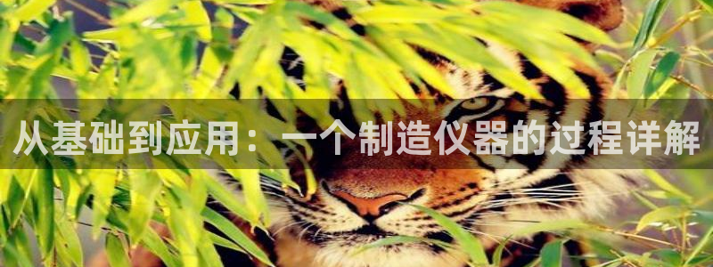 欧乐星城好玩的娱乐场所：从基础到应用：一个制造仪器的过程详解