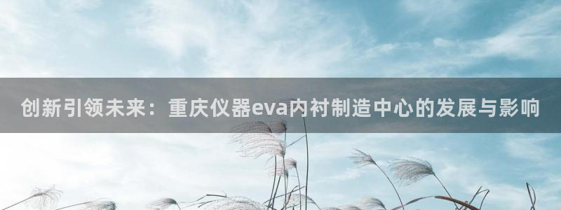 亚星娱乐欧瘫威sky133688：创新引领未来：重庆仪器ev