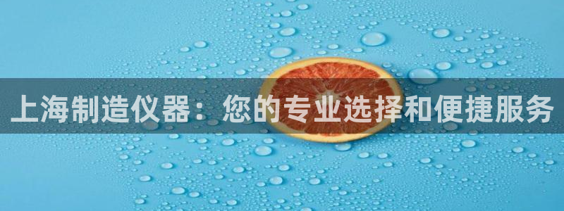 欧乐星城好玩的娱乐场所：上海制造仪器：您的专业选择和便捷服务