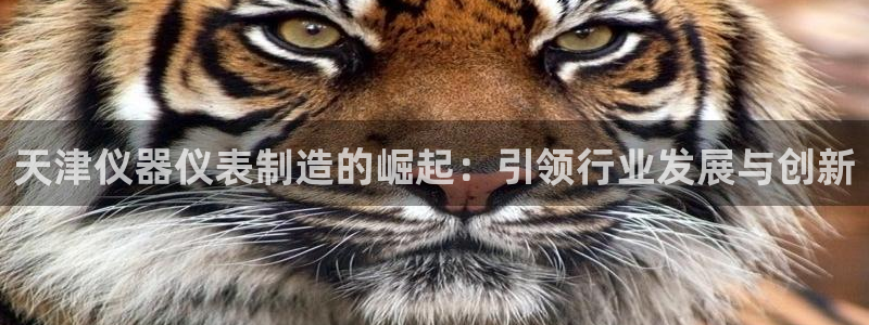 星欧娱乐官方网页：天津仪器仪表制造的崛起：引领行业发展与创新