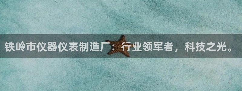 星欧娱乐的官方网站：铁岭市仪器仪表制造厂：行业领军者，科技之