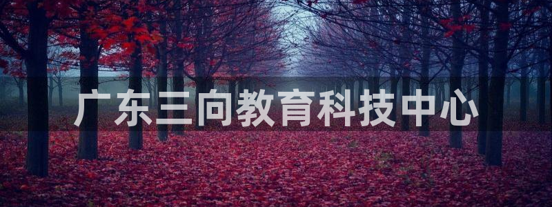 欧乐星城休闲娱乐：广东三向教育科技中心