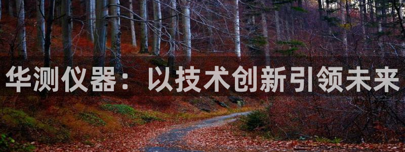 星欧娱乐游戏：华测仪器：以技术创新引领未来