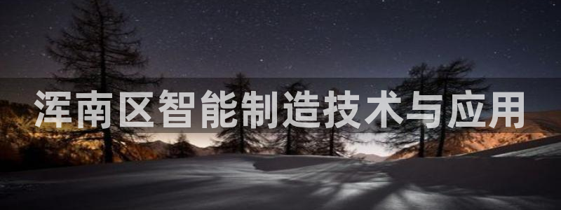 星欧娱乐银行卡怎么登录：浑南区智能制造技术与应用