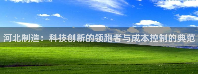 星欧娱乐app注册：河北制造：科技创新的领跑者与成本控制的典