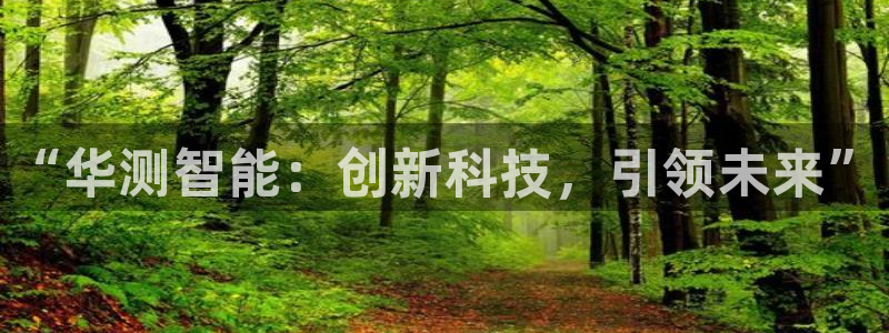 星欧娱乐客服电话：“华测智能：创新科技，引领未来”