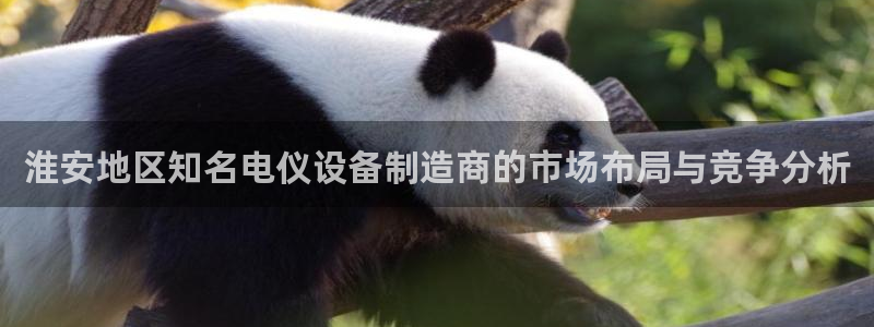 星欧娱乐平台电话：淮安地区知名电仪设备制造商的市场布局与竞争