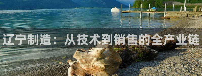 星欧娱乐平台是什么：辽宁制造：从技术到销售的全产业链