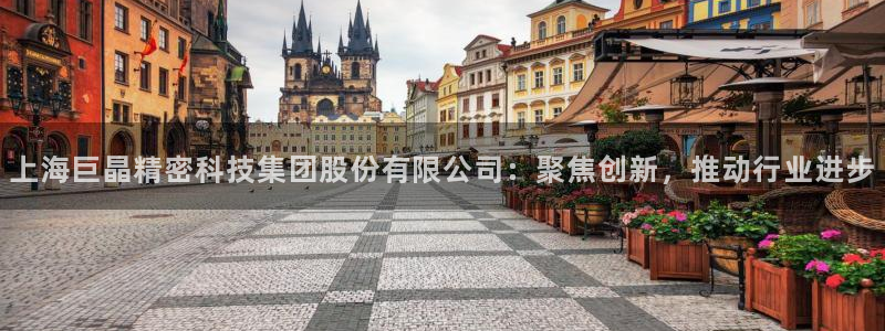 星欧娱乐黑科技是正规的吗：上海巨晶精密科技集团股份有限公司：