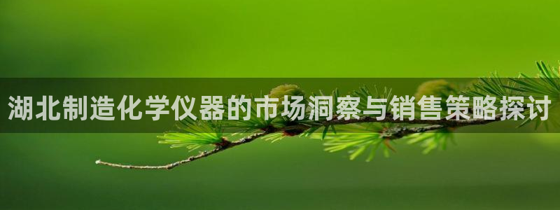 星欧娱乐公司：湖北制造化学仪器的市场洞察与销售策略探讨